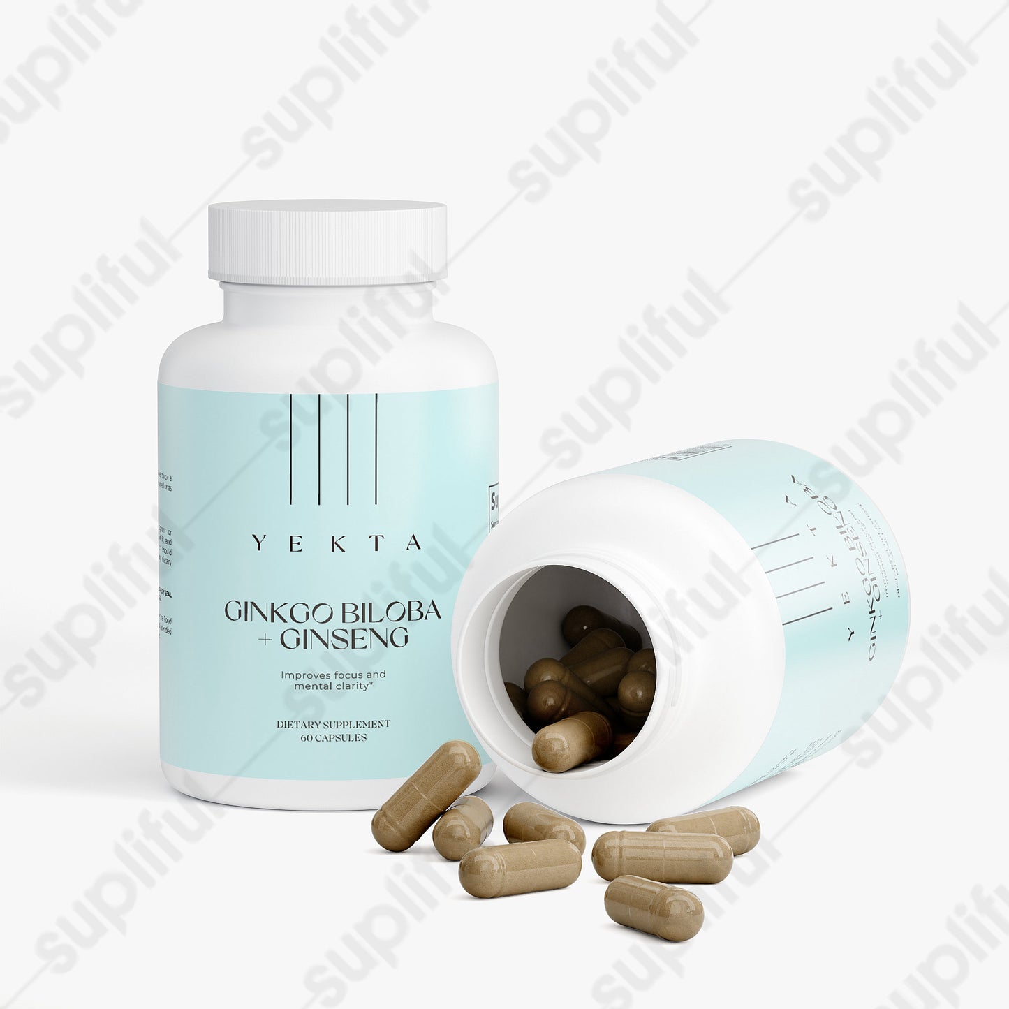 Ginkgo Biloba + Ginseng