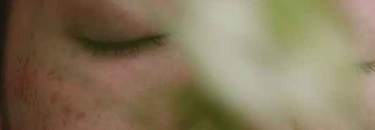 Active Dreaming: remember, record, reflect